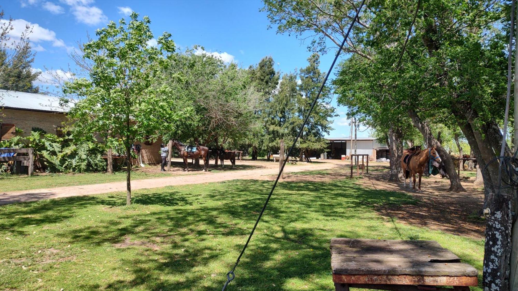 Cabana Rural El Encuentro سان أنطونيو دي أريكو الغرفة الصورة